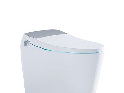 斯飞奥智能坐便器