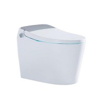 斯飞奥智能坐便器